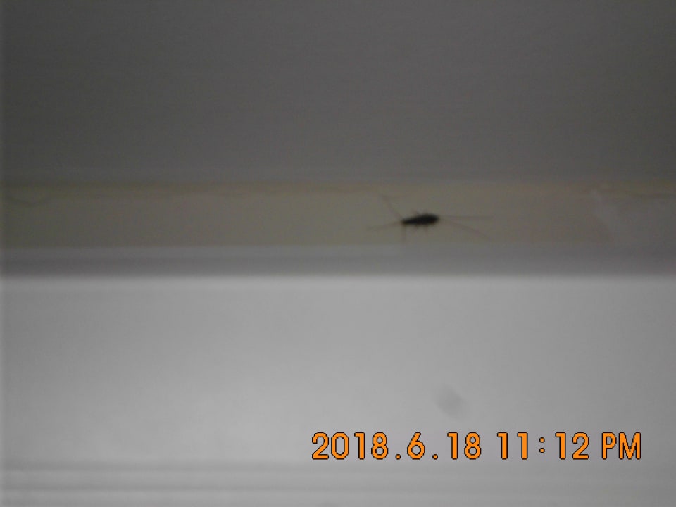 Zimmer Hotel Istra - Liburnia