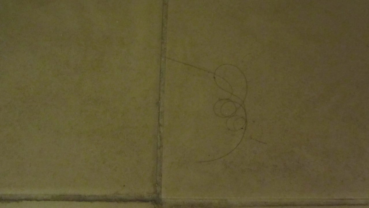 Haare!!! Villas Bavaro Resort & Spa