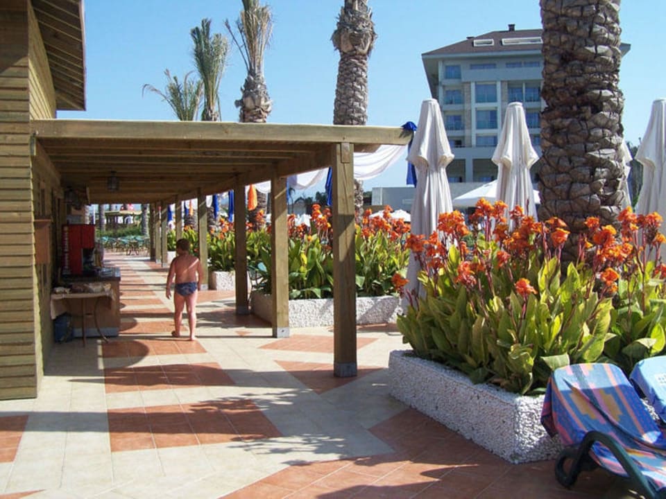Poolbar Sunis Kumköy Beach Resort Hotel & Spa