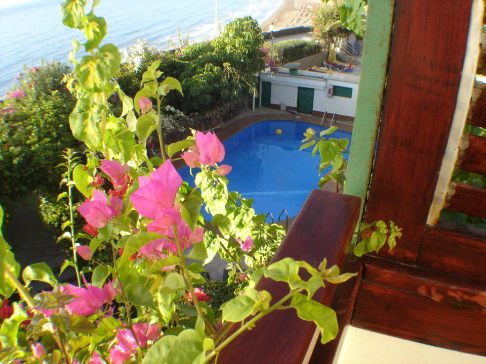 Blumengarten mit Pool Hotel San Nicolas
