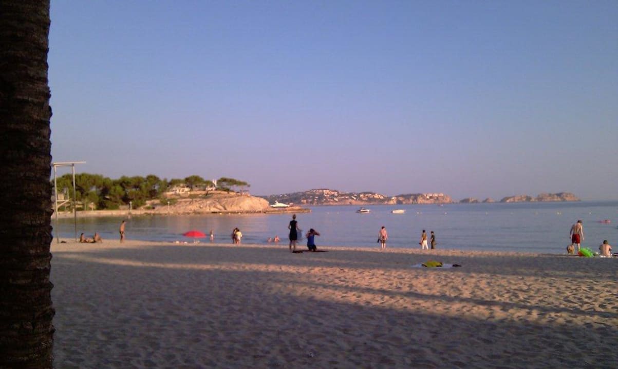 Ein wahrhaft schöner Strand allsun Hotel Bella Paguera