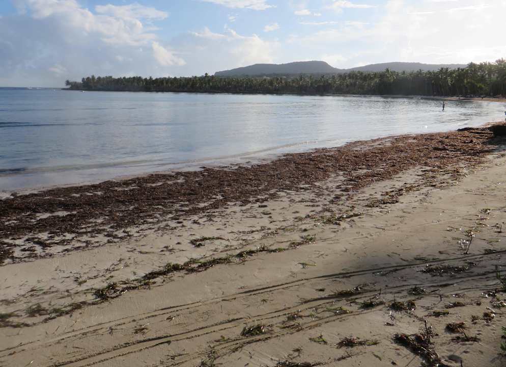 Strand teilweise dreckig Wyndham Alltra Samana
