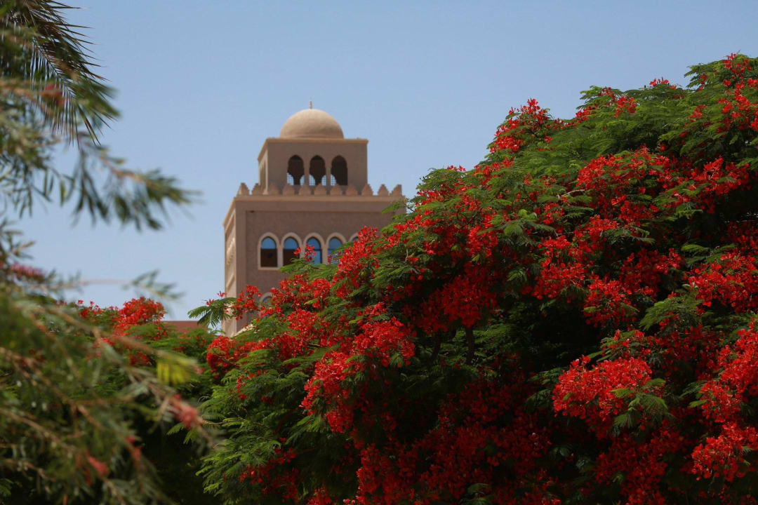 Garden view Makadi Palace