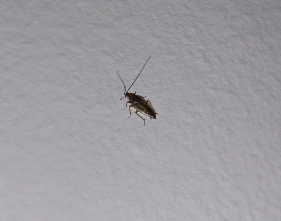 Zimmer NH München Messe