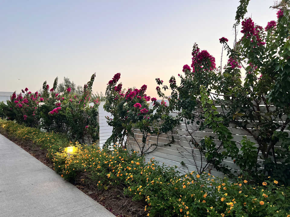 Gartenanlage Gennadi Grand Resort