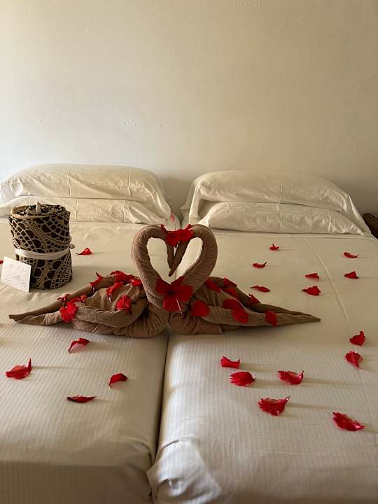 Zimmer Hotel Riu Touareg