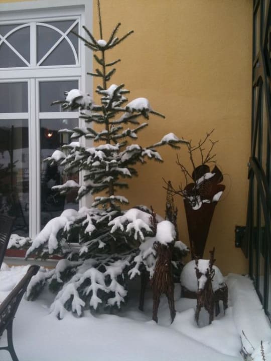 Eingang Spirit & SPA Hotel Birkenhof am Elfenhain