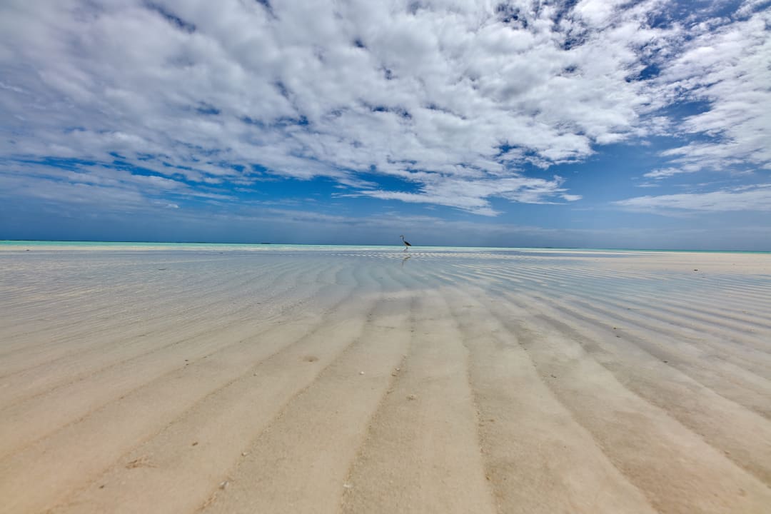 Strand Cinnamon Velifushi Maldives - Free One-Way Speedboat and 02 Kids Under 12 Stay & Dine Free
