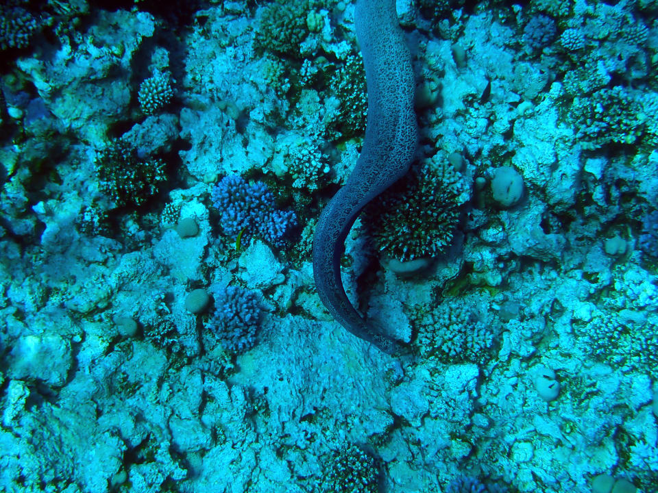 Strand Makadi Palace