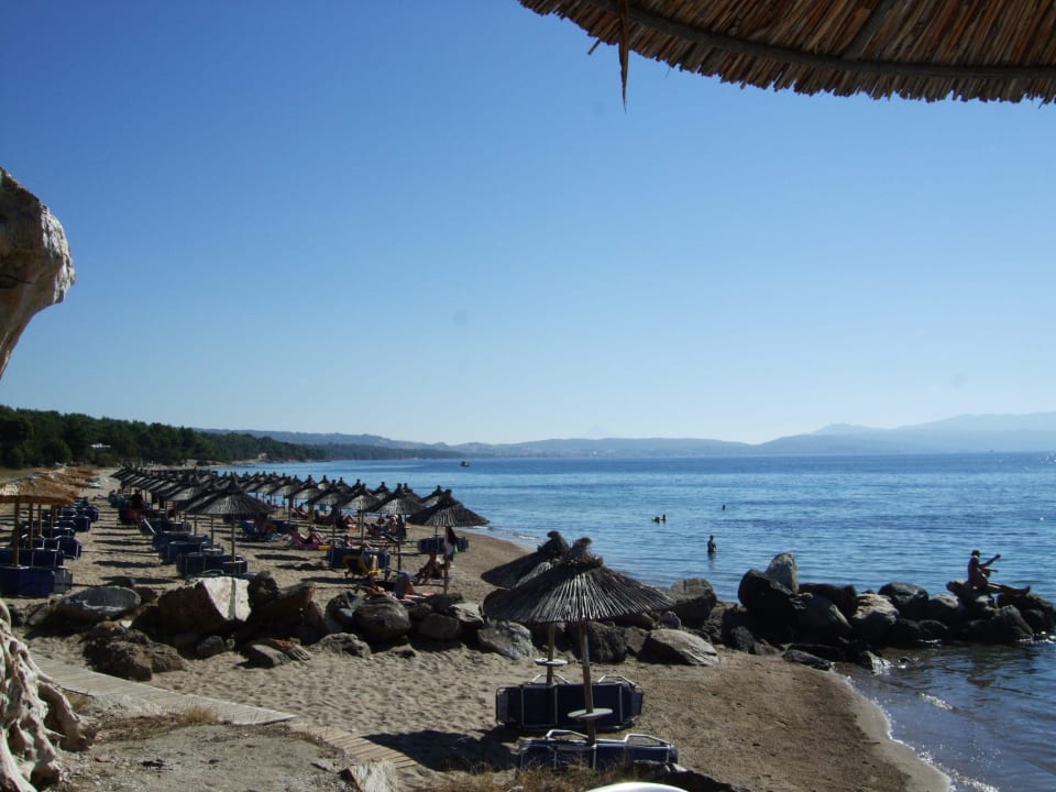 An der Strandbar Blue Dolphin Resort Hotel