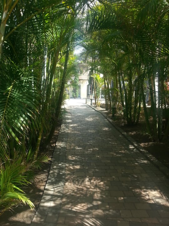 Palmengang Lopesan Villa del Conde Resort & Thalasso