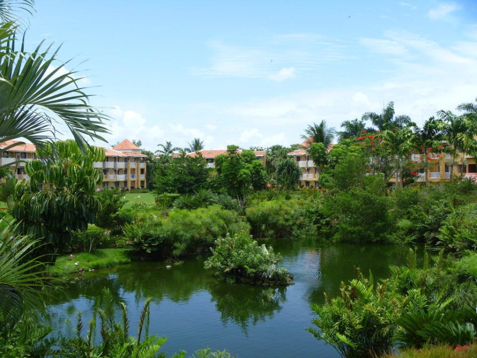 Gartenanlage Hotel Viva Dominicus Palace by Wyndham-All Inclusive Resort