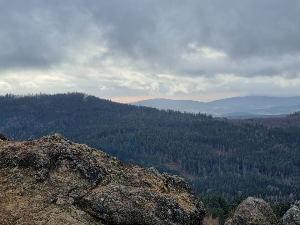 Ausblick Montara Suites Bodenmais