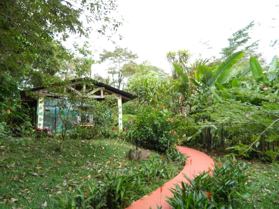 Unser Bungalow Casitas Tenorio