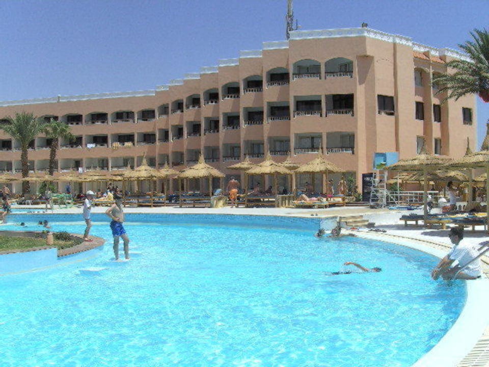 Pool Beach Albatros Resort
