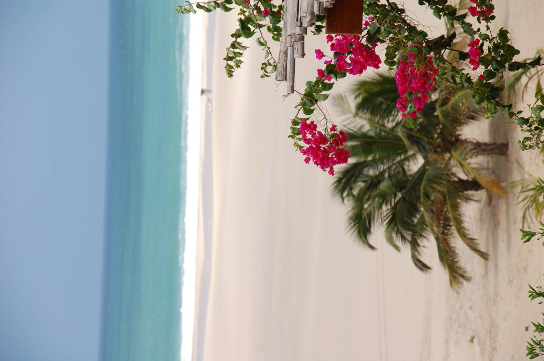 Traumhafter menschenleerer Strand Occidental Boa Vista Beach