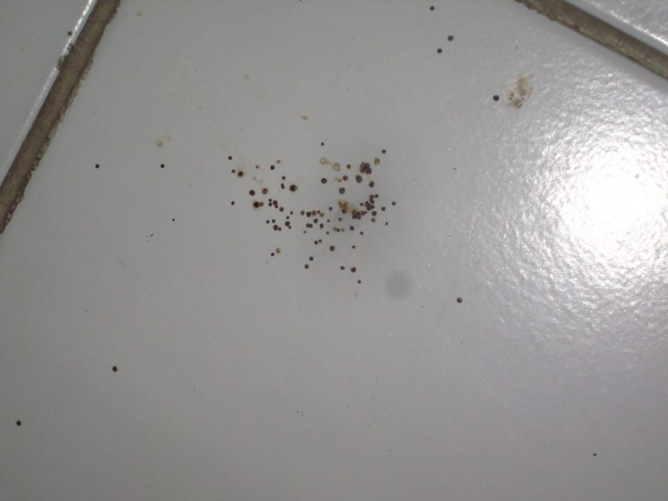 Undefinierbare Flecken! Entweder Schimmel oder Kot Peninsula Resort & Spa