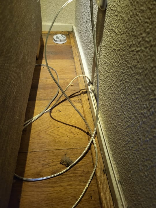 Zimmer Ferienpark Hof van Saksen