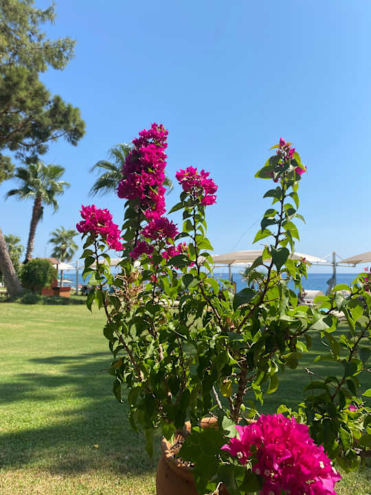 Strand ROBINSON ÇAMYUVA