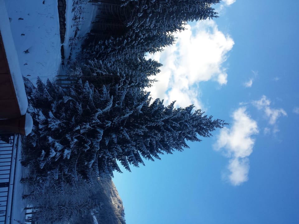 Blick aus dem Wohnzimmer Apartmenthaus Mira Monti