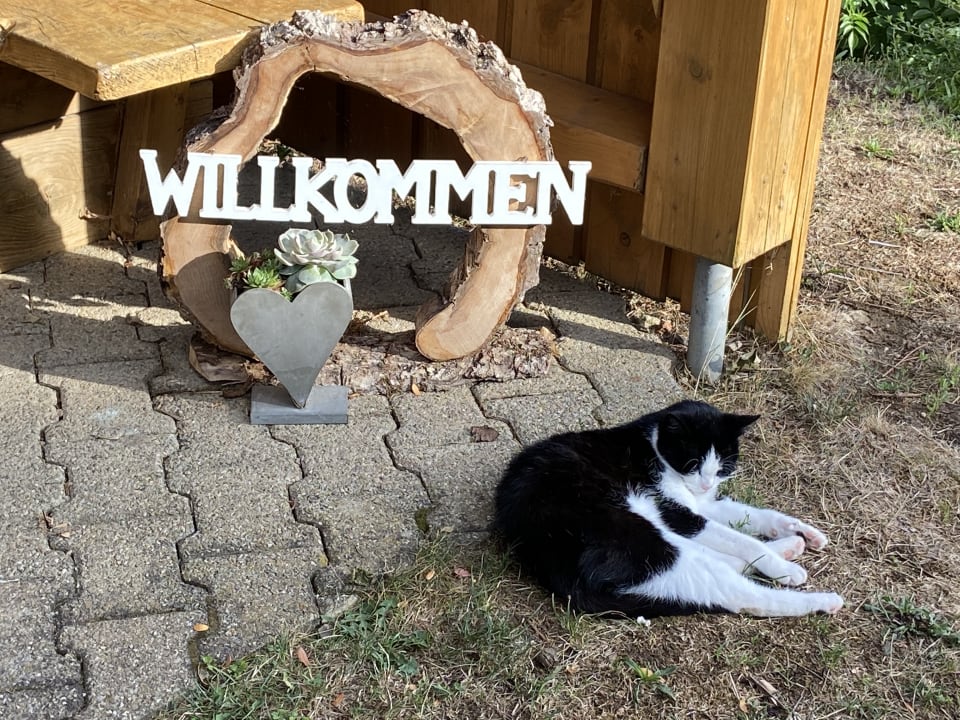 Sonstiges Trenklehof
