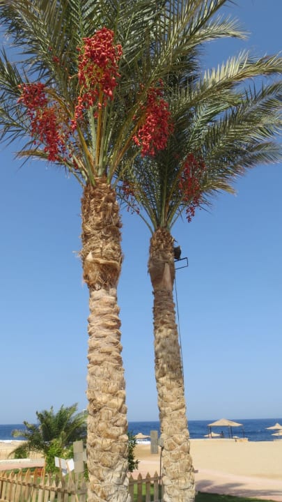 Ausblick Coral Hills Resorts & SPA