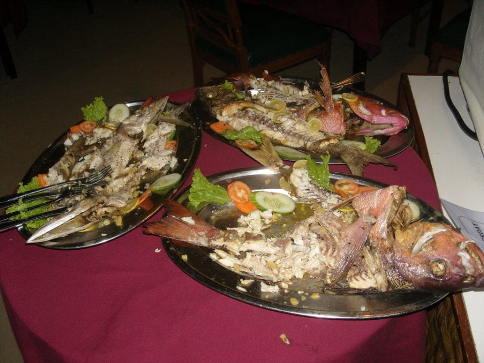 Fang des Nachtangelns Summer Island Maldives