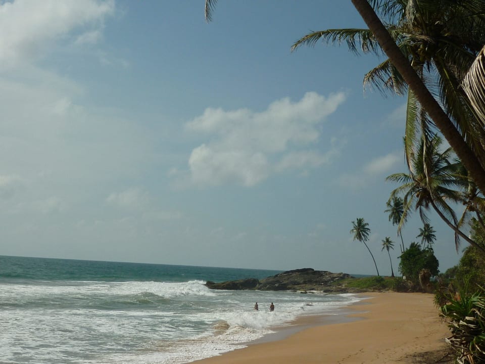 Ausblick vom Strandgrundstück ( rechts ) Villa Safira Ayurveda Residence