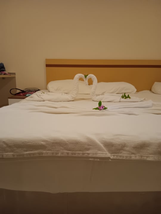 Zimmer Hotel Catty Cats Garden