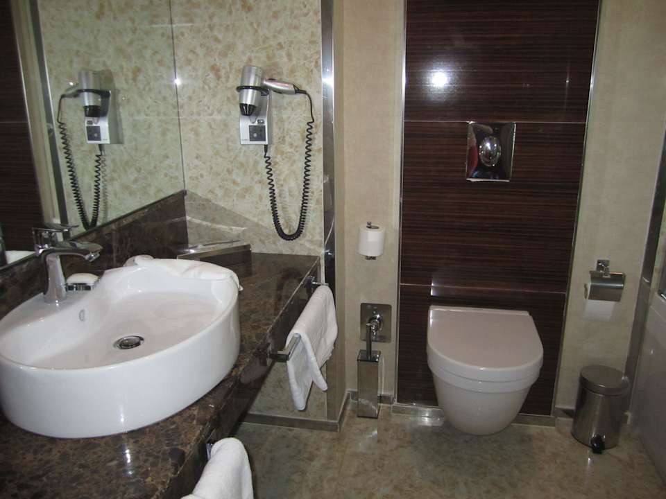 Bad Hotel Holiday Inn Ankara Kavaklidere