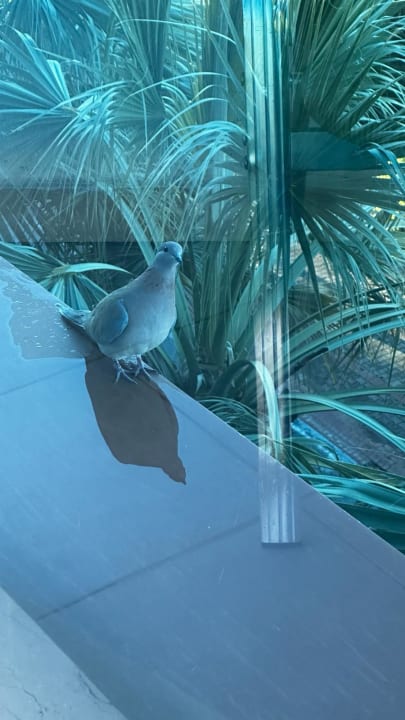 Sonstiges Gardenia Hotel