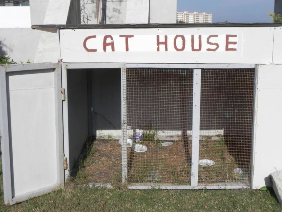 Das Katzenhaus Saturn Palace Resort Hotel