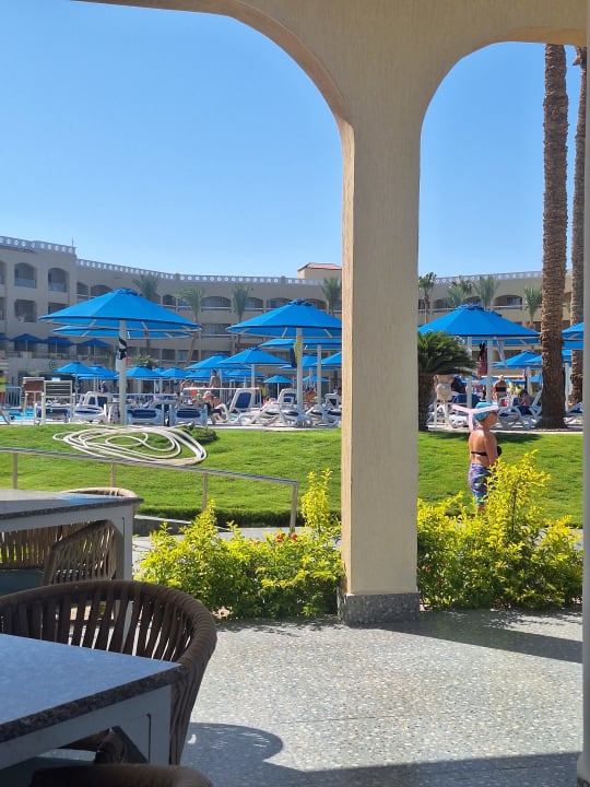 Gartenanlage Beach Albatros Resort