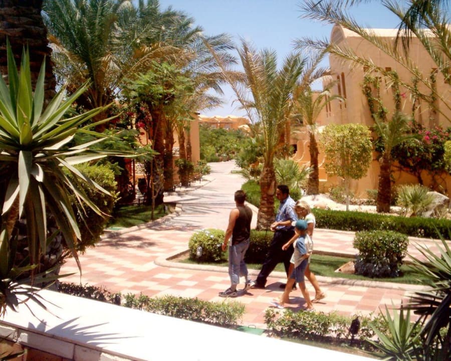 Garten Jaz Makadi Oasis Resort