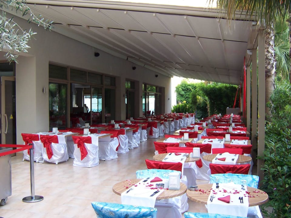 Türk.Abend....ohne Worte.... Port Side Resort Hotel