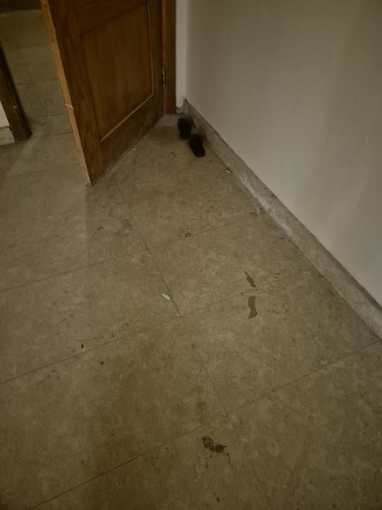 Zimmer Grand Waterworld Makadi & Family Star Makadi