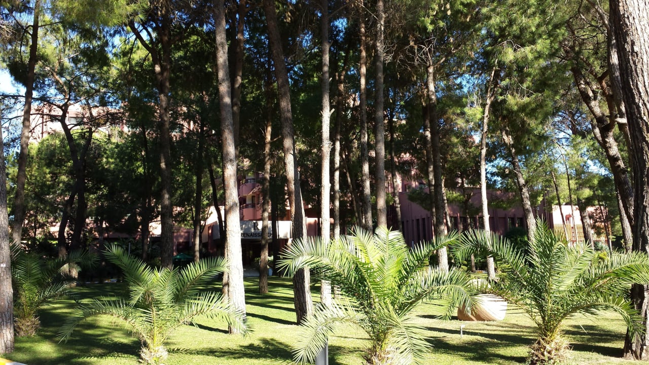 Garten mit Hotel Balmy Foresta
