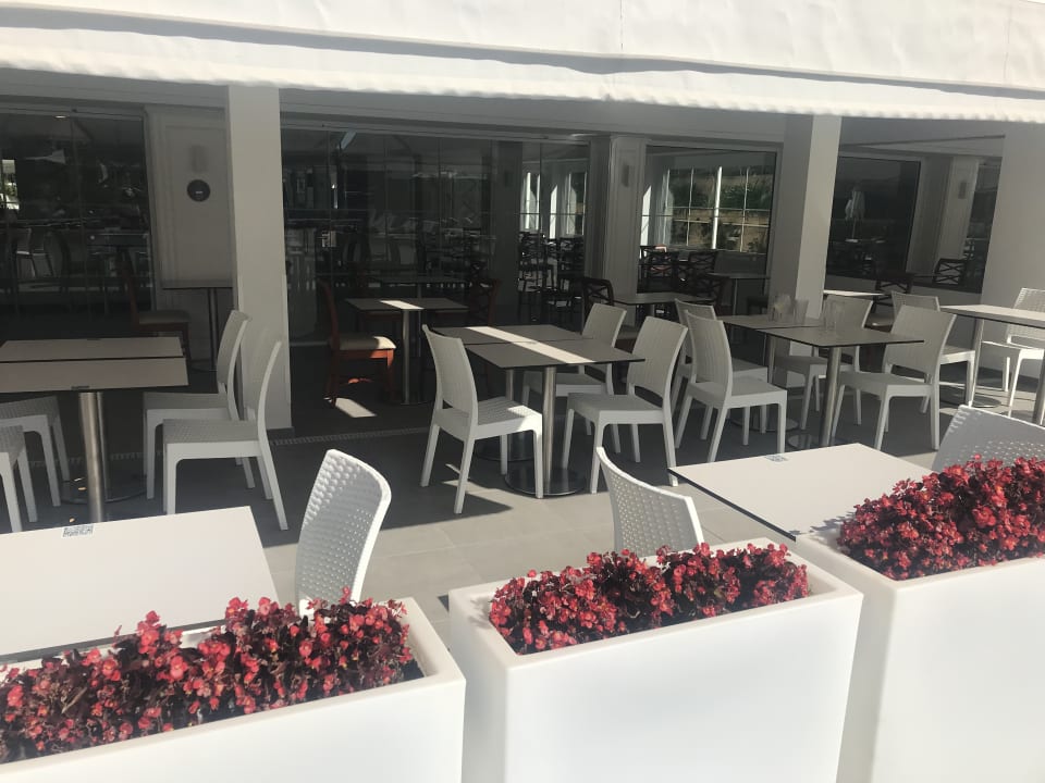 Gastro Reverence Life  - Adults only