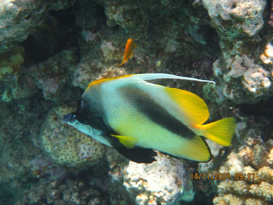 Sport & Freizeit Cleopatra Luxury Resort Makadi Bay