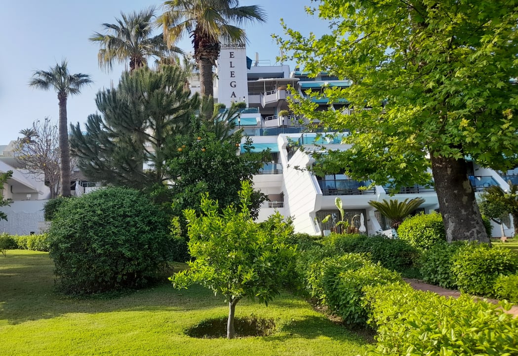 Gartenanlage Side Star Elegance