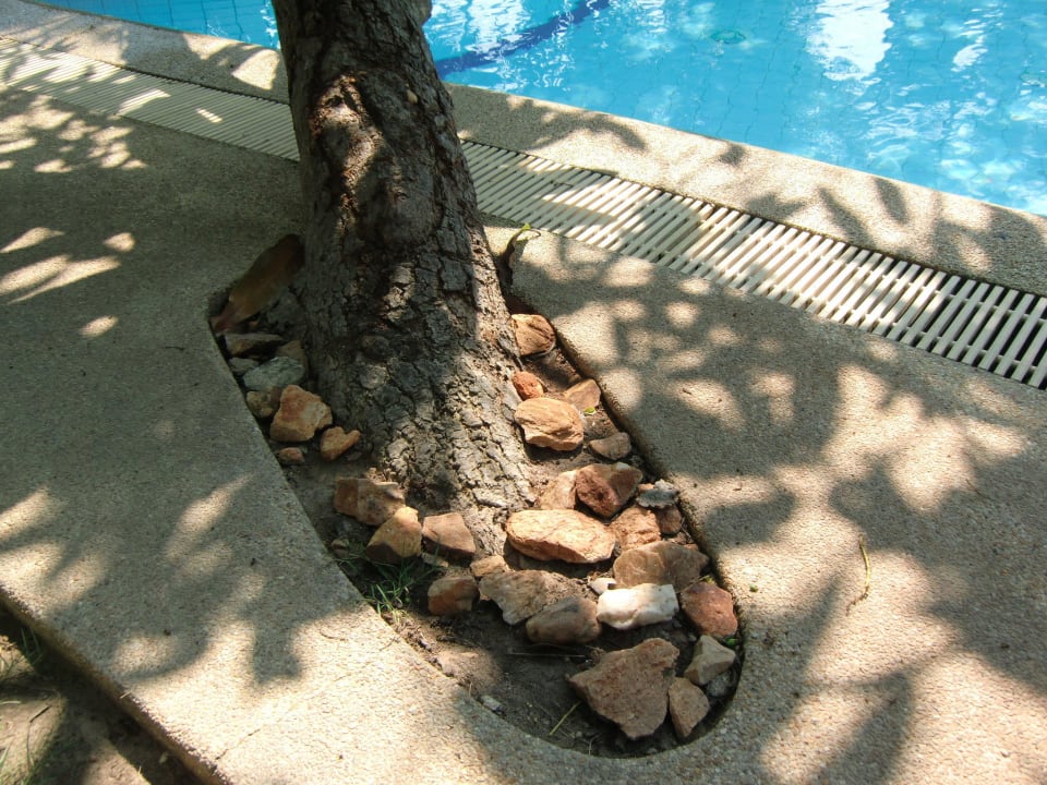 Steine am Pool nix für kleine Kinder Prinz Garden Villa