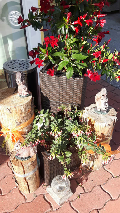 Außenansicht Premium Wanderhotel Steirerhof