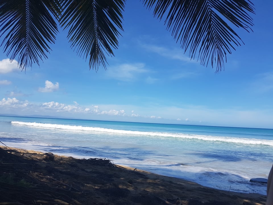 Strand Viva Wyndham Samaná