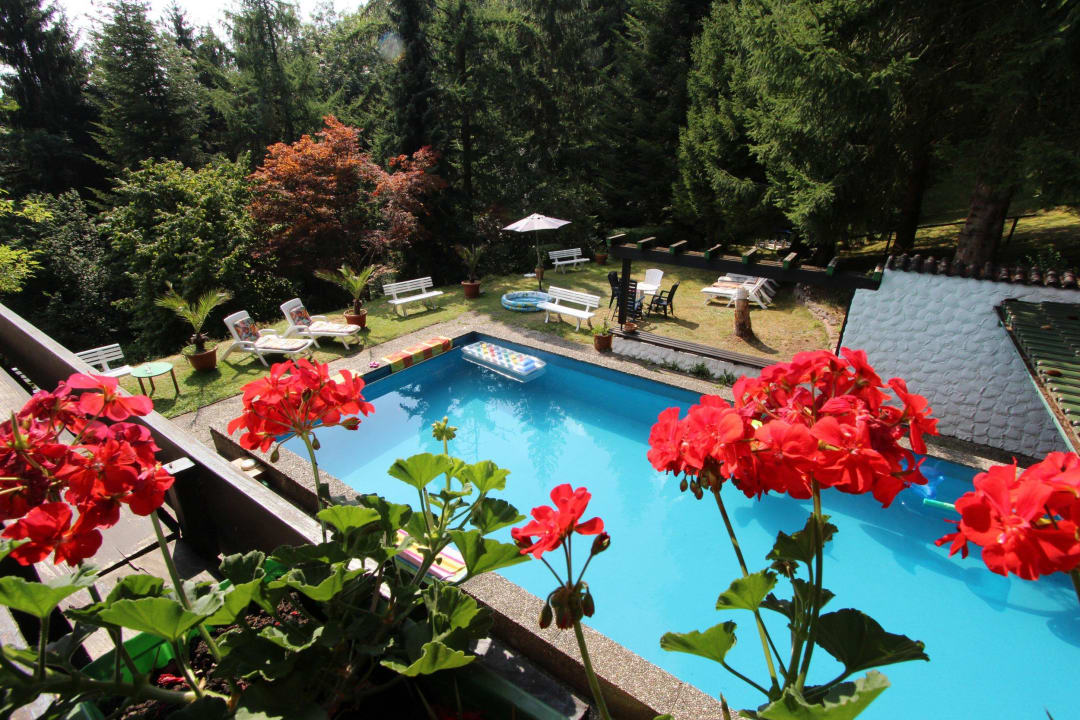Ausblick vom Balkon des Appartements Anci Apartments Schwarzwaldblick