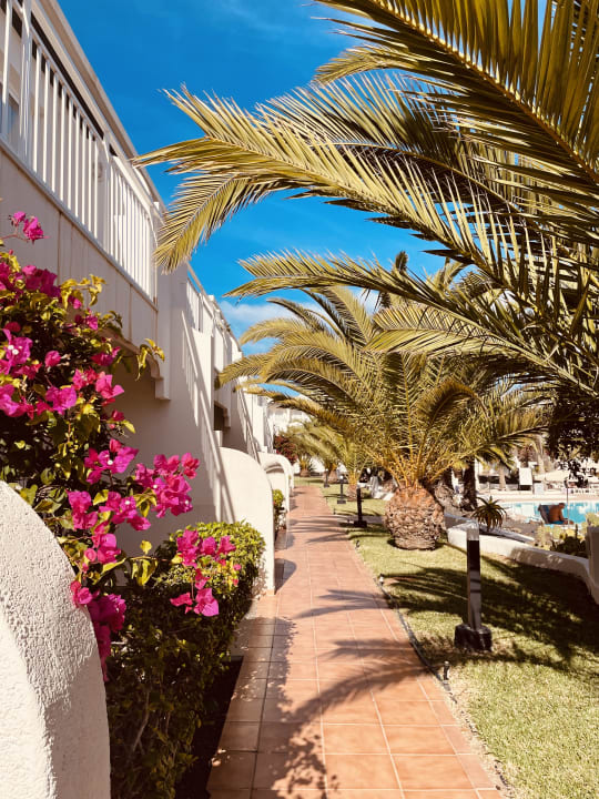Gartenanlage H10 Ocean Suites