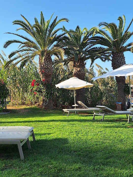 Gartenanlage Crystal Springs Beach Hotel