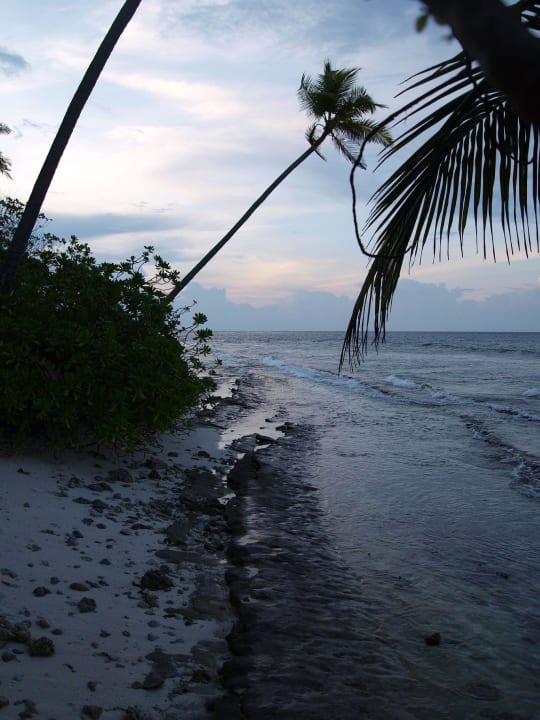 Strand auf der Ostseite Filitheyo Island Resort