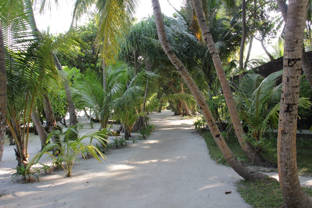 Gepflegte Gartenanlagen Kuramathi Maldives