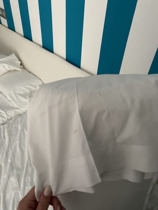 Zimmer Alcudia Garden Aparthotel