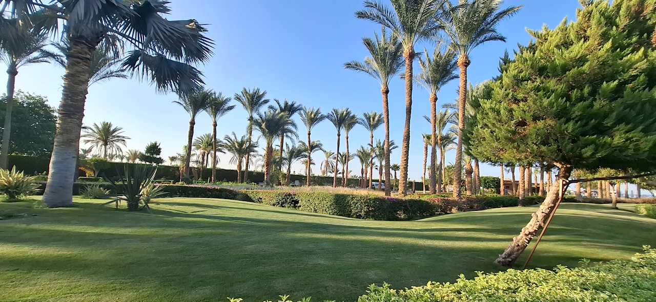 Gartenanlage Steigenberger ALDAU Beach Hotel